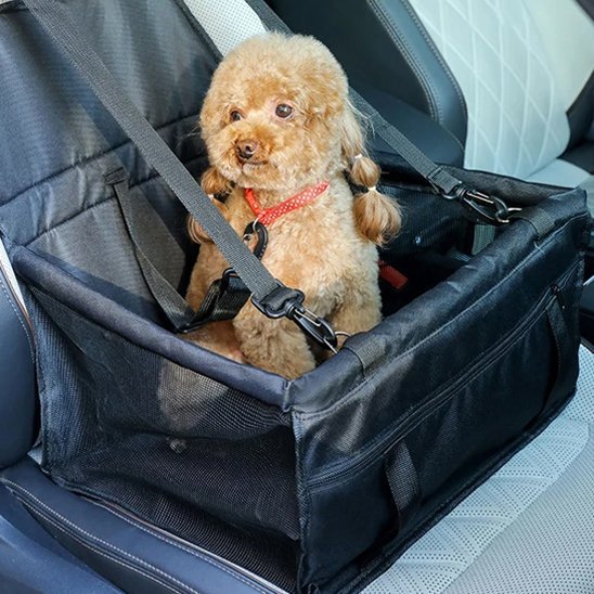 Siège auto pour chien offrant protection en voiture