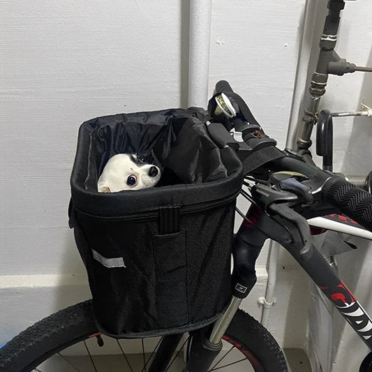 Panier vélo pour chien Sécuriride - balades à vélo avec son chien