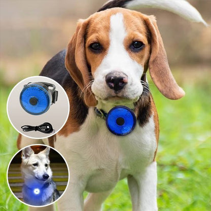 Collier pour chien durable et résistant à l'usure