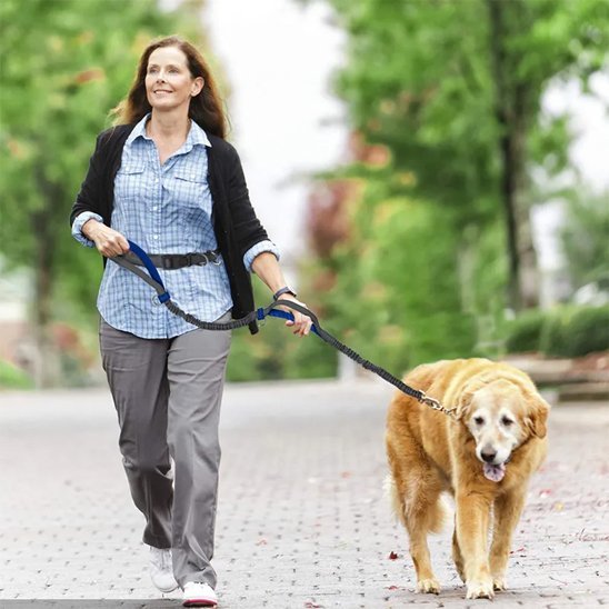 Laisse canicross mains libres pour course avec chien
