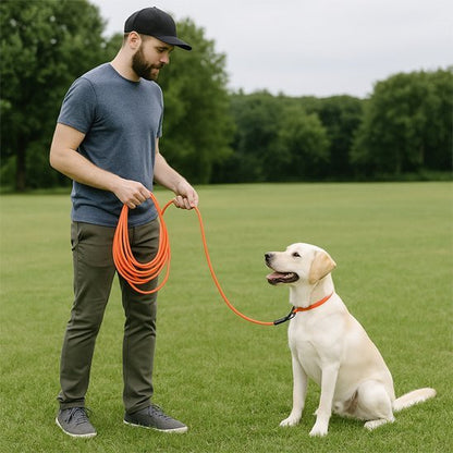 Longe extensible pour chien offrant liberté et contrôle