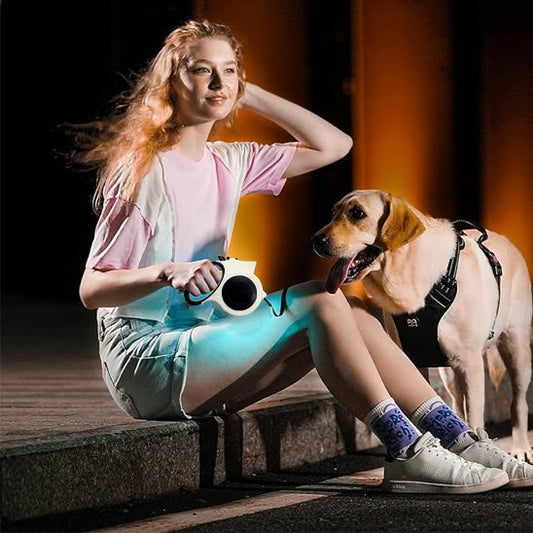 Laisse robuste pour chien avec poignée confortable et rembourrée