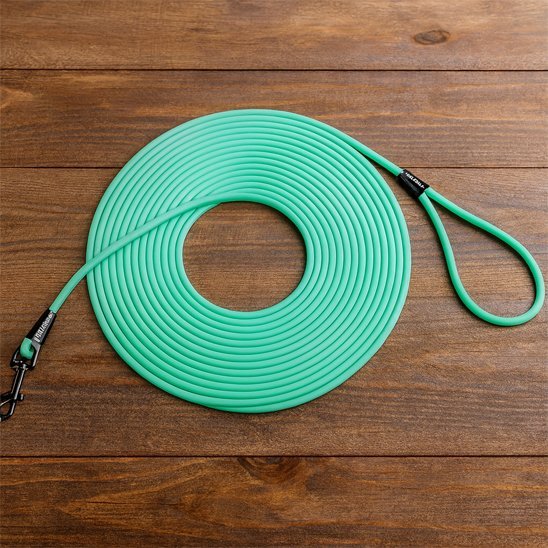 Système rétractable de la longe pour chien
