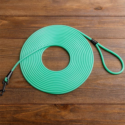 Système rétractable de la longe pour chien