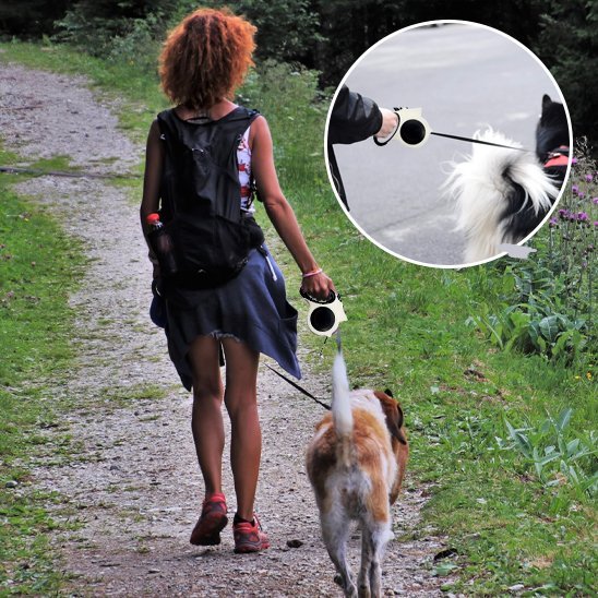 Mousqueton résistant et sécurisé de la laisse