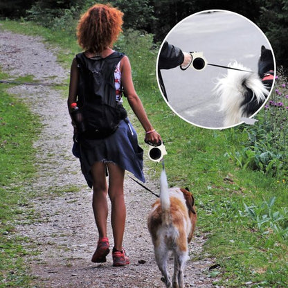 Mousqueton résistant et sécurisé de la laisse