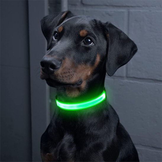 Collier lumineux ajustable pour toutes tailles de chien