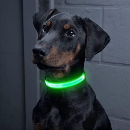 Collier lumineux ajustable pour toutes tailles de chien