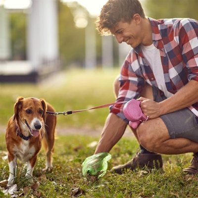 Distributeur pratique pour sacs à crottes
