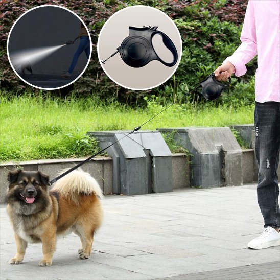 Laisse pour chien en position d'utilisation lors d'une promenade