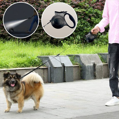 Laisse pour chien en position d'utilisation lors d'une promenade