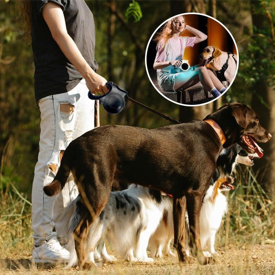 Vue complète de la laisse montrant sa longueur et sa résistance