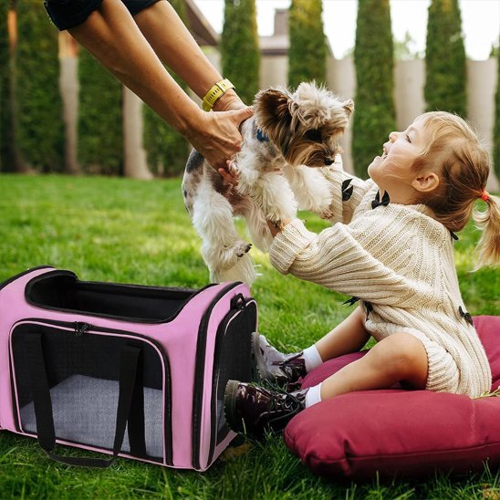 Sac de transport pour chien avec poche de rangement