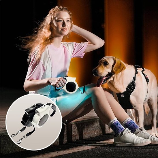 Détail des coutures renforcées de la laisse