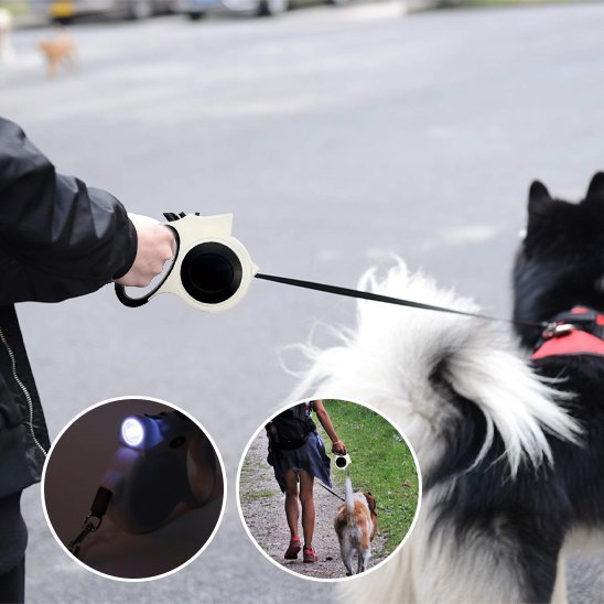 Système d'attache sécurisé au collier du chien