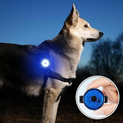 Collier ajustable pour différentes tailles de chien